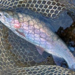 エキスパートエリアで大物にチャレンジ ～平谷湖フィッシングスポット～